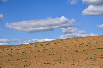 Fototapeta na wymiar big white clouds in a blue sky above field
