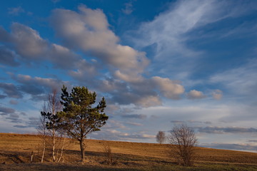 Obraz premium Russia. A picturesque spring sunset over the Siberian fields.