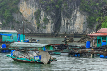 floating fish farm in ha long bay vietnam