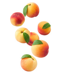 Falling Peach isolated on white background, clipping path, full depth of field