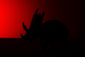 triceratops shadow with red light in dark © Freer