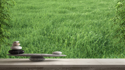Wooden vintage table or shelf with stone balance, over blurred meadow panorama with green grass,...