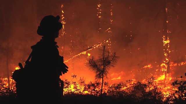 Silhouette of firefighter observing fire at night