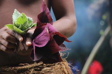 man holding a plant