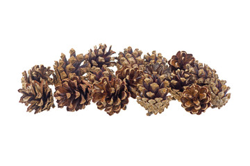 many pine cones isolated on white background