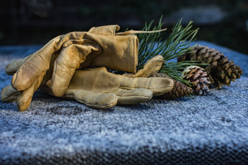  Winter, masculine leather gloves with pine cone on the table covered with ice.
