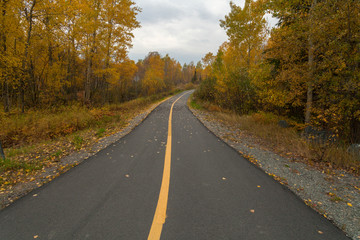 bicycle path in the fall
