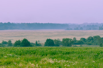 Fog over fields, landscape