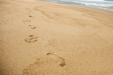 Footprint of bare feet on wet sand. Summer vacation on the beach. Sea holiday concept