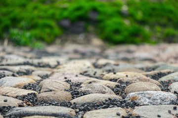 Stones against green grass background