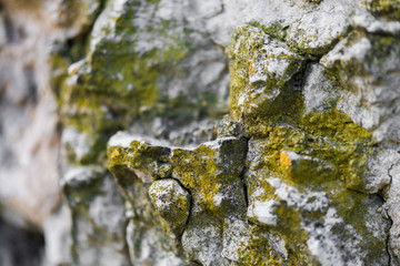 Stone wall covered with moss