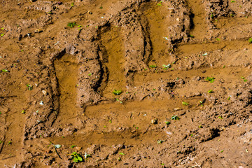 Close-up tire tracks truck on a dirt road in daylight
