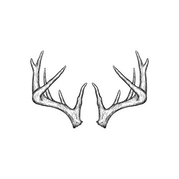 Handrawn antler vector, Hunting logo design inspiration