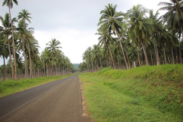 Obraz na płótnie Canvas road in Vanuatu