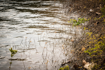 urban abstraction at sunset of the day