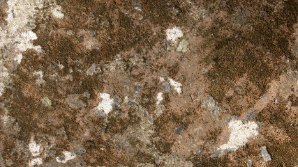 Stone wall and beautiful structure. Rock background.