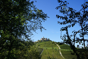 View of the Langhe hills with the village of Castiglion Falletto and his castle, Piedmont - Italy