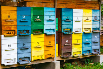 Colorful wooden bee hive boxes