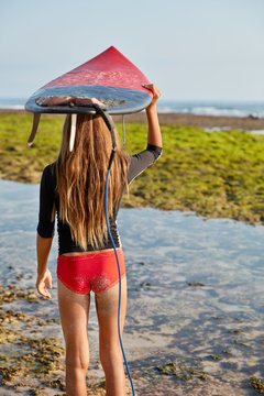 Back view of slim woman in red bikini, has long hair, keeps surfboard over head, being fastened by leash for protection, admires ocean landscape, has active lifestyle, involved in exteme water sport