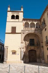 Fototapeta na wymiar Palacio de Valdehermoso, Écija, Andalusien, Spanien