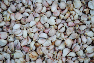 garlic close up background.