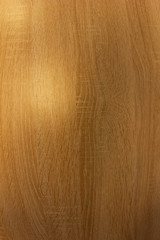 wood texture background