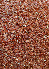 Vertical Photo of the Top View of Raw Deep Red Thai Sangyod Muang Phatthalung Rice 