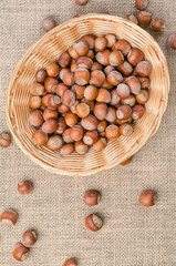 Hazelnut in peel on a light burlap.
