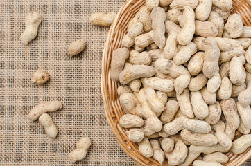 Peanuts in the peel on a light burlap.