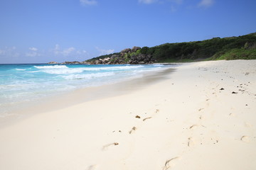 Obraz premium footprint in the sand