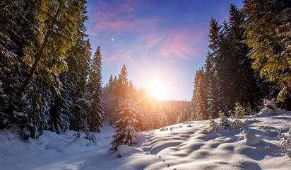 Fantastic winter mountain landscape. overcast colorful clouds, glowing in sunlight. alp trees, of snow covered , under in a warm sunlight. Dramatic wintry scene. Beauty on the world. creative image.