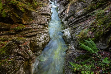 Tuinposter narrow creek and cliffs covered with moss and fern Rettenbachklamm - Bad Ischl Austria © Alexandra Giese