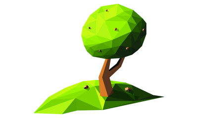 The tree on the hill.