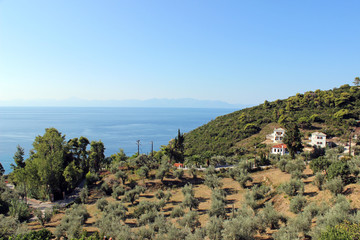 Fototapeta na wymiar Stafylos bay skopelos aegean island greece hill landscape