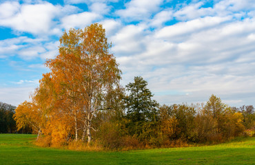 Autumn landscape in the north of Berlin, Lübars, Germany
