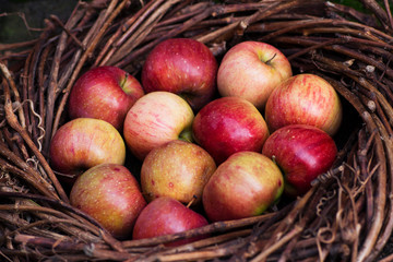 Fresh apples in a nest on concrete