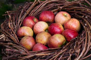 Fresh apples in a nest on concrete
