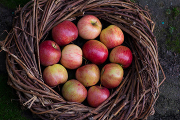 Fresh apples in a nest on concrete