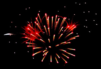 Fototapeta premium Fireworks