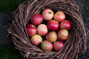 Fresh apples in a nest on concrete