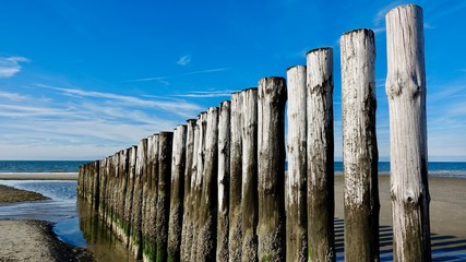 Wellenbrecher aus Holz am Nordseestrand in den Niederlanden
