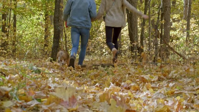 Rear view Tilt up shot of young couple running in autumn forest with dog on leash