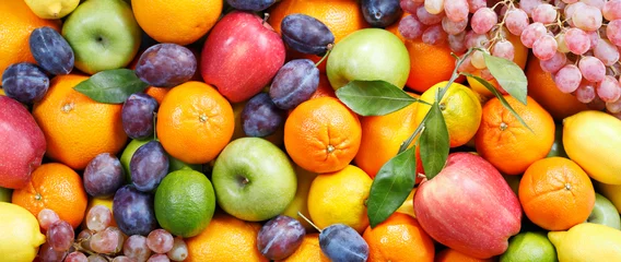 Wandaufkleber Mix aus frischen Früchten als Hintergrund © Nitr
