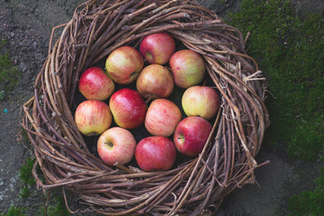 Fresh apples in a nest on concrete