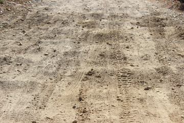 Tracks on dirt road