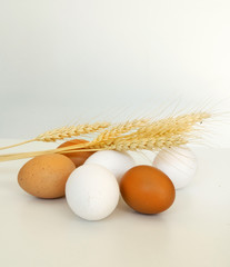 Eggs and the Wheat