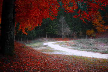 Quiet autumn evening
