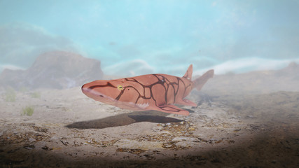 Fototapeta premium chain catshark (Scyliorhinus retifer) a small biofluorescent and reticulated shark