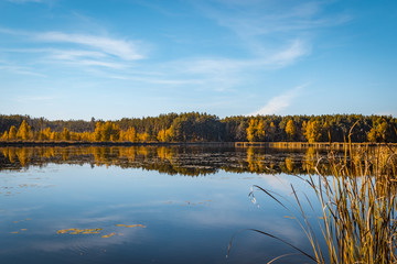 Lake in Autumn 8