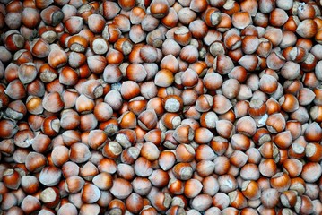 Raw hazelnuts or filberts at the farmers market in Trabzon, Turkey